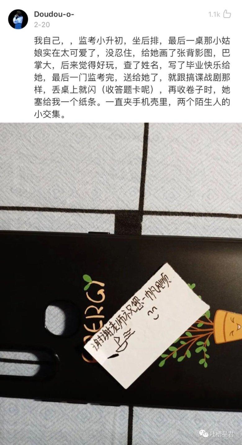 中国小动物保护协会：昆明动物园两只猫咪已体检身体无大碍